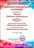 Диплом победителя III степени представила конкурсную работу "Домашние животные" на Всероссийском конкурсе "Педагогическая регата"